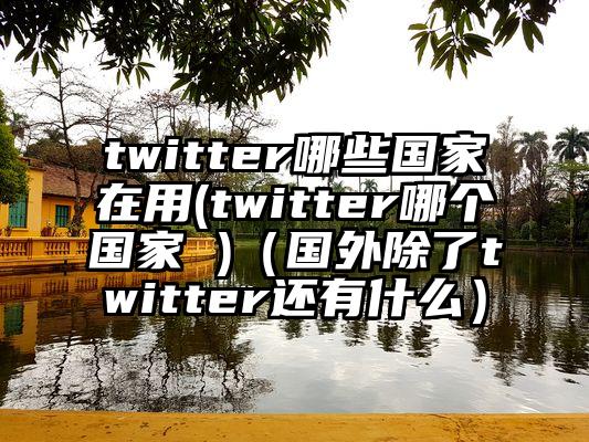 twitter哪些国家在用(twitter哪个国家 )（国外除了twitter还有什么）