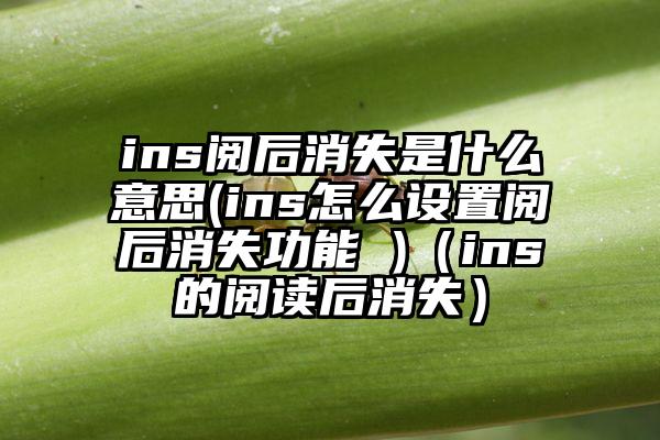 ins阅后消失是什么意思(ins怎么设置阅后消失功能 )（ins的阅读后消失）