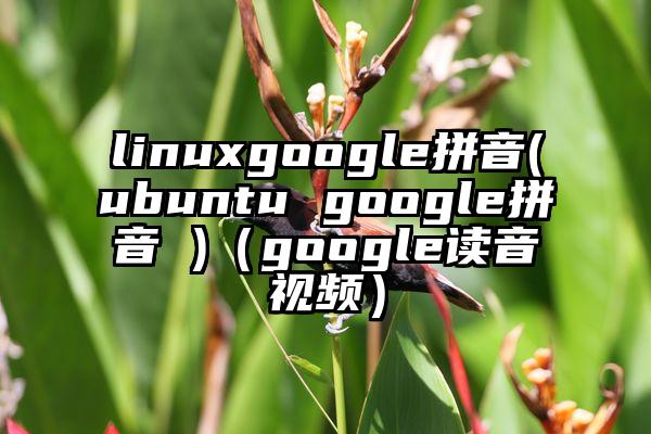 linuxgoogle拼音(ubuntu google拼音 )（google读音视频）