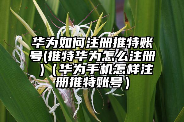 华为如何注册推特账号(推特华为怎么注册 )（华为手机怎样注册推特账号）