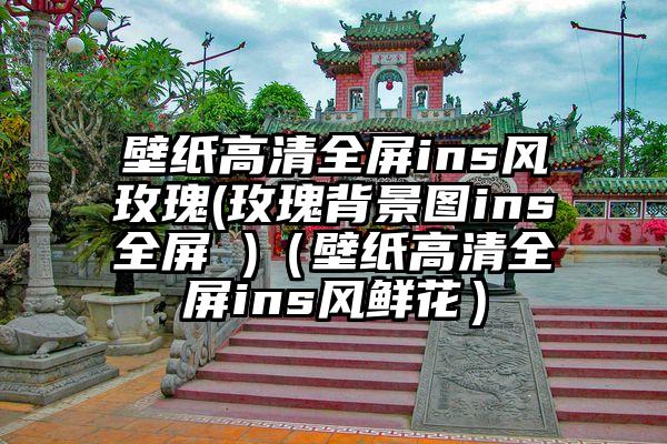 壁纸高清全屏ins风玫瑰(玫瑰背景图ins全屏 )（壁纸高清全屏ins风鲜花）