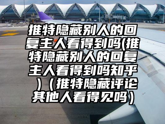 推特隐藏别人的回复主人看得到吗(推特隐藏别人的回复主人看得到吗知乎 )（推特隐藏评论其他人看得见吗）