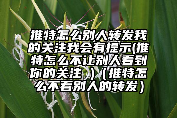 推特怎么别人转发我的关注我会有提示(推特怎么不让别人看到你的关注 )（推特怎么不看别人的转发）