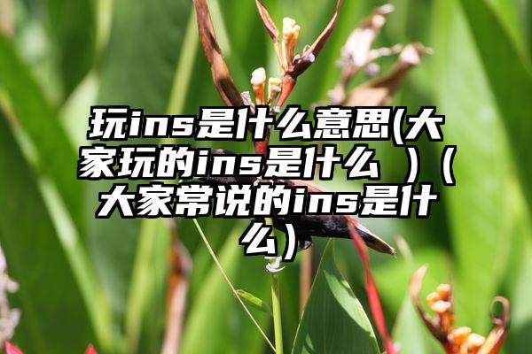 玩ins是什么意思(大家玩的ins是什么 )（大家常说的ins是什么）