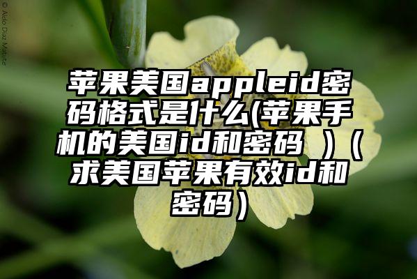 苹果美国appleid密码格式是什么(苹果手机的美国id和密码 )（求美国苹果有效id和密码）