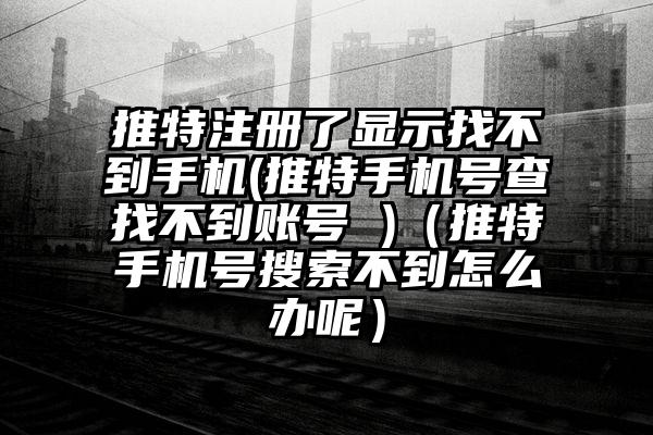 推特注册了显示找不到手机(推特手机号查找不到账号 )（推特手机号搜索不到怎么办呢）