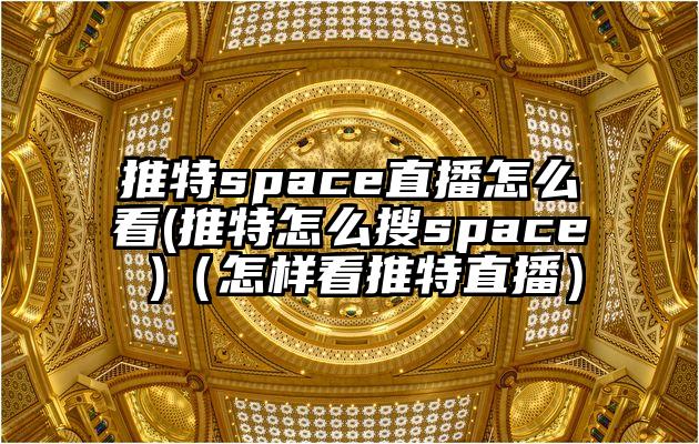 推特space直播怎么看(推特怎么搜space )（怎样看推特直播）