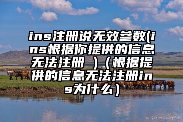 ins注册说无效参数(ins根据你提供的信息无法注册 )（根据提供的信息无法注册ins为什么）