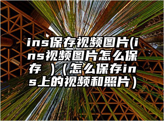 ins保存视频图片(ins视频图片怎么保存 )（怎么保存ins上的视频和照片）