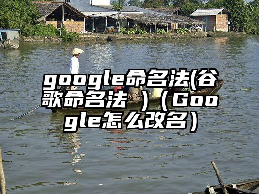 google命名法(谷歌命名法 )（Google怎么改名）