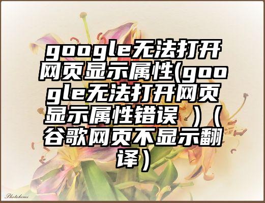 google无法打开网页显示属性(google无法打开网页显示属性错误 )（谷歌网页不显示翻译）