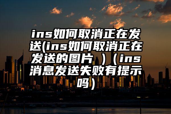 ins如何取消正在发送(ins如何取消正在发送的图片 )（ins消息发送失败有提示吗）