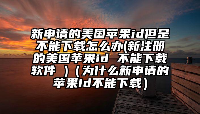 新申请的美国苹果id但是不能下载怎么办(新注册的美国苹果id 不能下载软件 )（为什么新申请的苹果id不能下载）