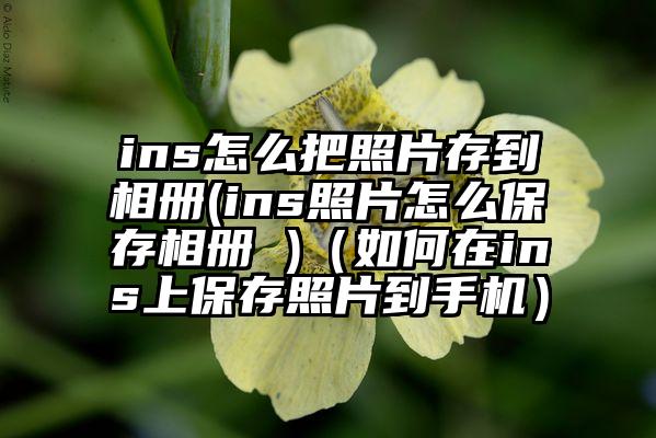 ins怎么把照片存到相册(ins照片怎么保存相册 )（如何在ins上保存照片到手机）