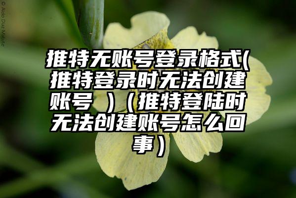 推特无账号登录格式(推特登录时无法创建账号 )（推特登陆时无法创建账号怎么回事）