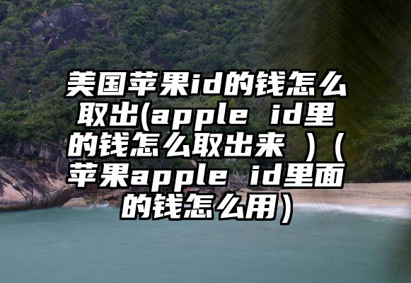 美国苹果id的钱怎么取出(apple id里的钱怎么取出来 )（苹果apple id里面的钱怎么用）