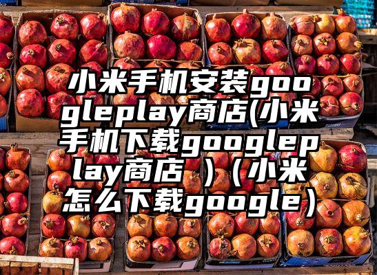 小米手机安装googleplay商店(小米手机下载googleplay商店 )（小米怎么下载google）