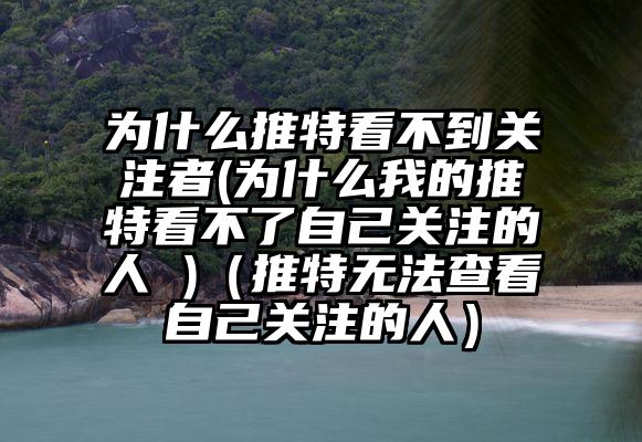 为什么推特看不到关注者(为什么我的推特看不了自己关注的人 )（推特无法查看自己关注的人）