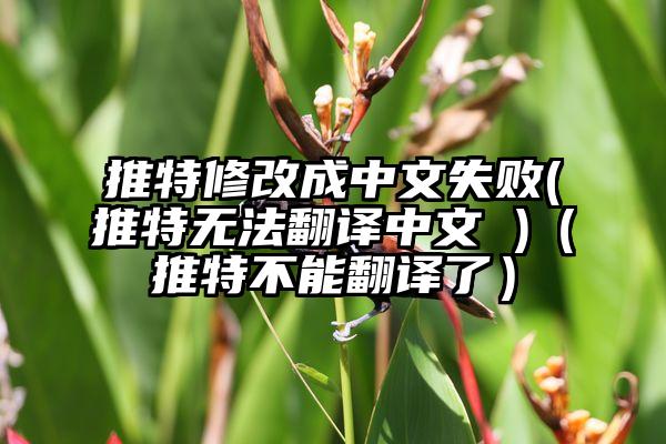 推特修改成中文失败(推特无法翻译中文 )（推特不能翻译了）