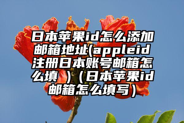 日本苹果id怎么添加邮箱地址(appleid注册日本账号邮箱怎么填 )（日本苹果id邮箱怎么填写）