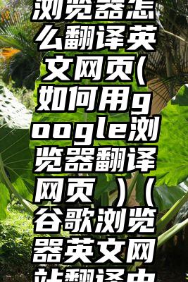 google浏览器怎么翻译英文网页(如何用google浏览器翻译网页 )（谷歌浏览器英文网站翻译中文）