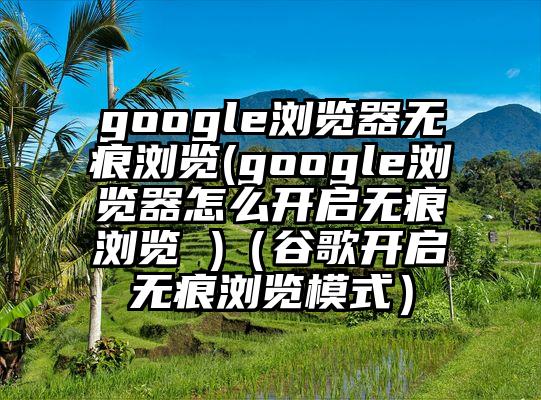 google浏览器无痕浏览(google浏览器怎么开启无痕浏览 )（谷歌开启无痕浏览模式）