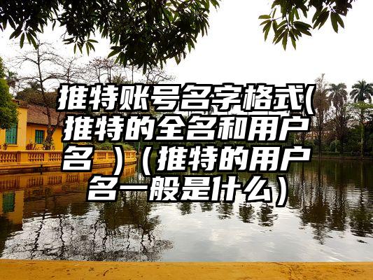 推特账号名字格式(推特的全名和用户名 )（推特的用户名一般是什么）