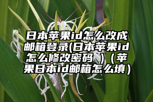 日本苹果id怎么改成邮箱登录(日本苹果id怎么修改密码 )（苹果日本id邮箱怎么填）