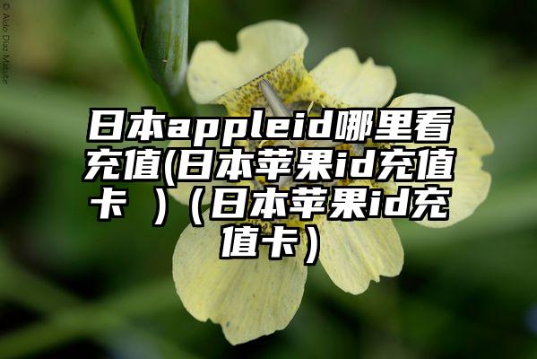 日本appleid哪里看充值(日本苹果id充值卡 )（日本苹果id充值卡）