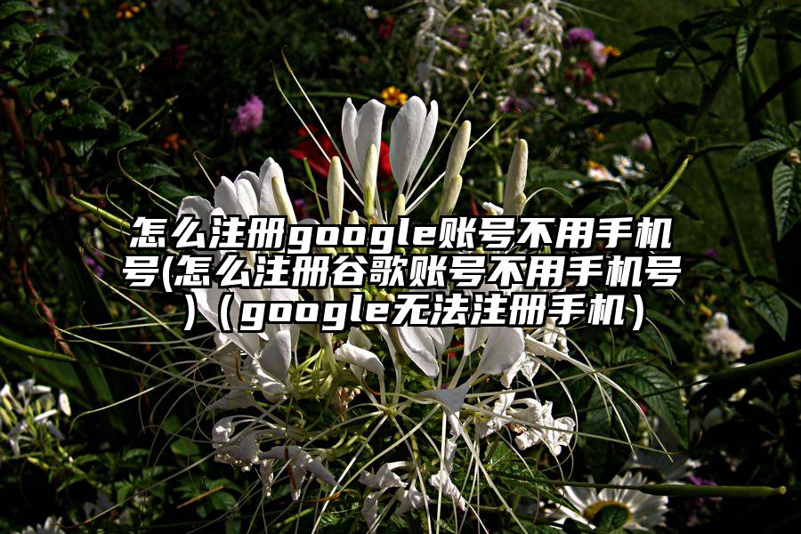 怎么注册google账号不用手机号(怎么注册谷歌账号不用手机号 )（google无法注册手机）