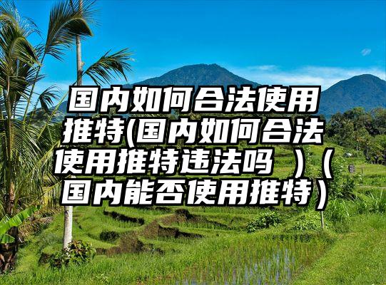 国内如何合法使用推特(国内如何合法使用推特违法吗 )（国内能否使用推特）