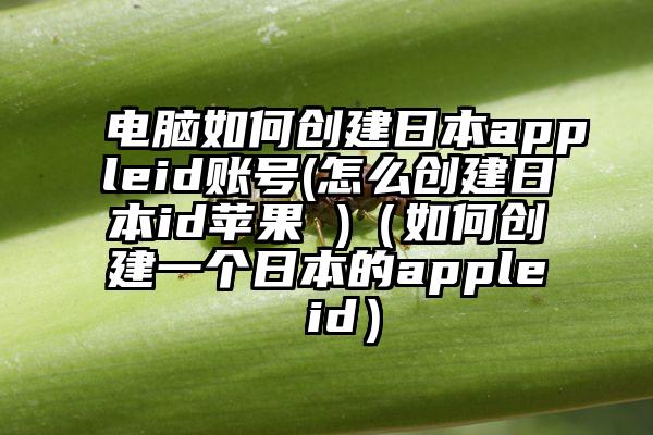 电脑如何创建日本appleid账号(怎么创建日本id苹果 )（如何创建一个日本的apple id）