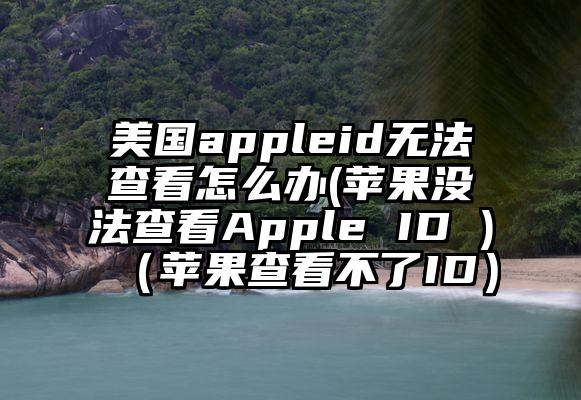 美国appleid无法查看怎么办(苹果没法查看Apple ID )（苹果查看不了ID）