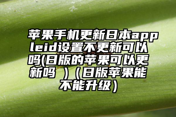 苹果手机更新日本appleid设置不更新可以吗(日版的苹果可以更新吗 )（日版苹果能不能升级）