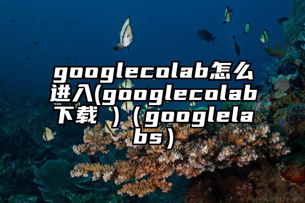 googlecolab怎么进入(googlecolab下载 )（googlelabs）