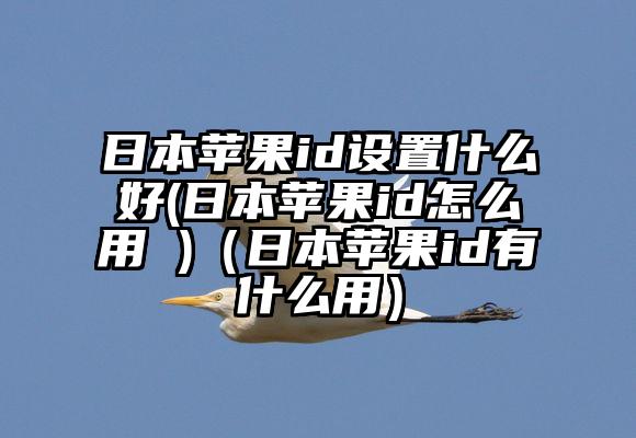 日本苹果id设置什么好(日本苹果id怎么用 )（日本苹果id有什么用）