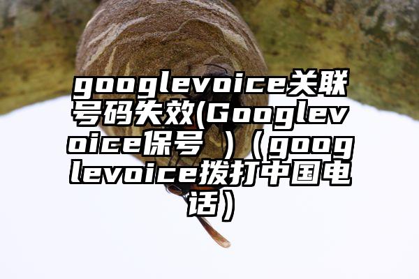 googlevoice关联号码失效(Googlevoice保号 )（googlevoice拨打中国电话）