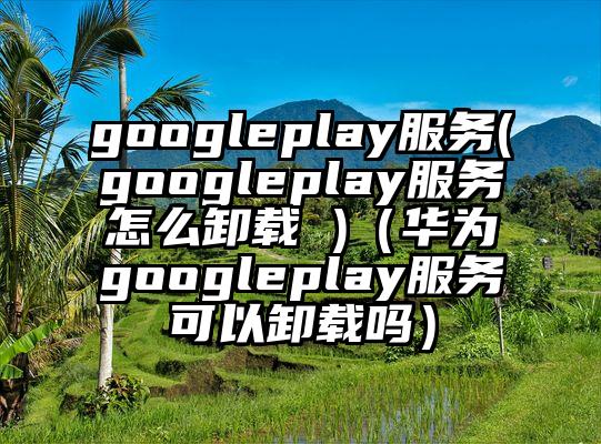 googleplay服务(googleplay服务怎么卸载 )（华为googleplay服务可以卸载吗）