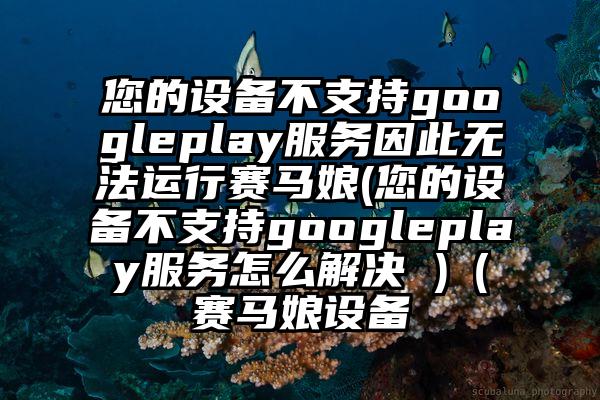 您的设备不支持googleplay服务因此无法运行赛马娘(您的设备不支持googleplay服务怎么解决 )（赛马娘设备