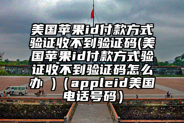 美国苹果id付款方式验证收不到验证码(美国苹果id付款方式验证收不到验证码怎么办 )（appleid美国电话号码）