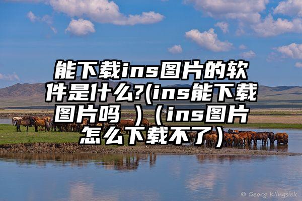 能下载ins图片的软件是什么?(ins能下载图片吗 )（ins图片怎么下载不了）