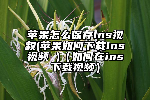 苹果怎么保存ins视频(苹果如何下载ins视频 )（如何在ins下载视频）