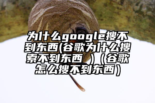 为什么google搜不到东西(谷歌为什么搜索不到东西 )（谷歌怎么搜不到东西）