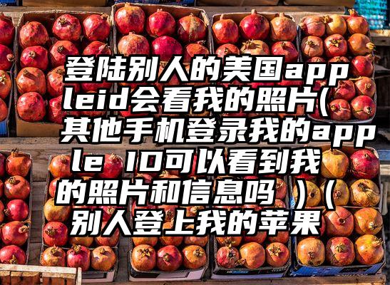 登陆别人的美国appleid会看我的照片(其他手机登录我的apple ID可以看到我的照片和信息吗 )（别人登上我的苹果