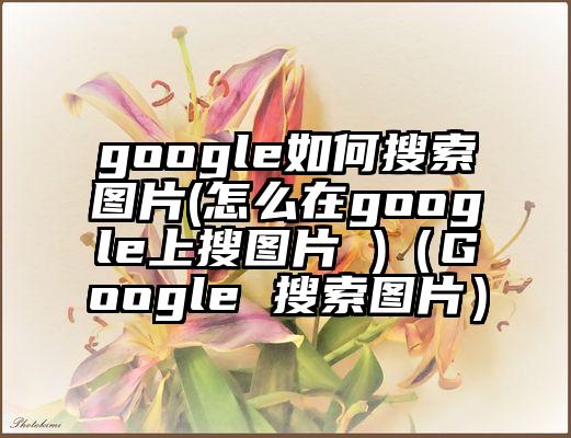 google如何搜索图片(怎么在google上搜图片 )（Google 搜索图片）