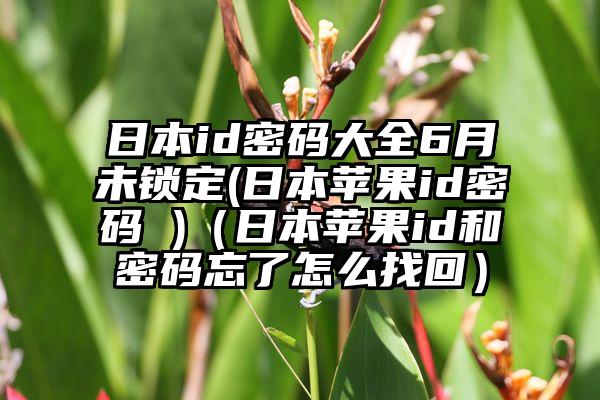 日本id密码大全6月未锁定(日本苹果id密码 )（日本苹果id和密码忘了怎么找回）