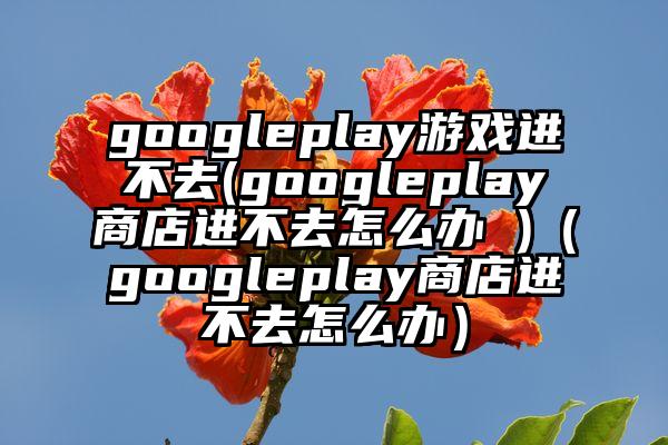 googleplay游戏进不去(googleplay商店进不去怎么办 )（googleplay商店进不去怎么办）