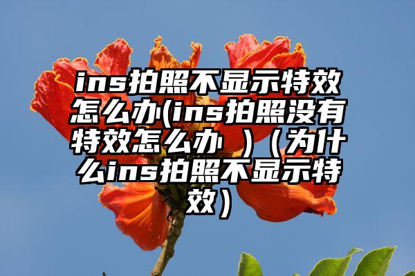 ins拍照不显示特效怎么办(ins拍照没有特效怎么办 )（为什么ins拍照不显示特效）