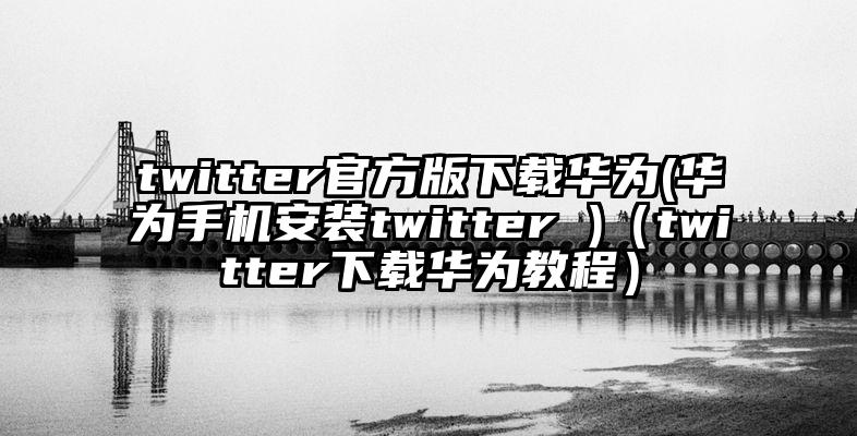 twitter官方版下载华为(华为手机安装twitter )（twitter下载华为教程）