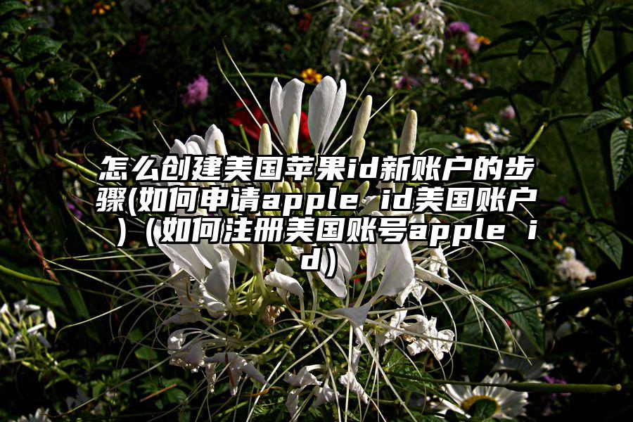 怎么创建美国苹果id新账户的步骤(如何申请apple id美国账户 )（如何注册美国账号apple id）